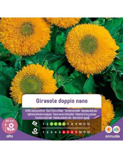 Graines de Tournesol Double...