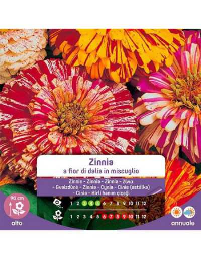 Zinnia Seeds with Fior di...