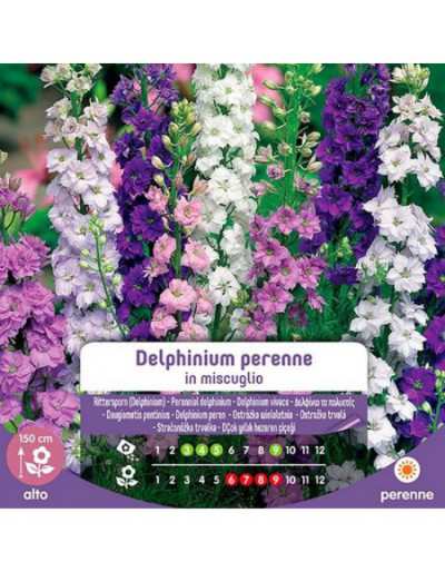 Mixed Delphinium Perennial...