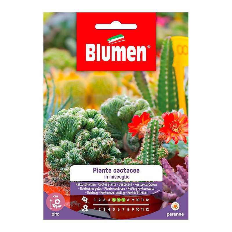 Cactaceae Plant Seeds in... Cactaceae Plant Seeds in...