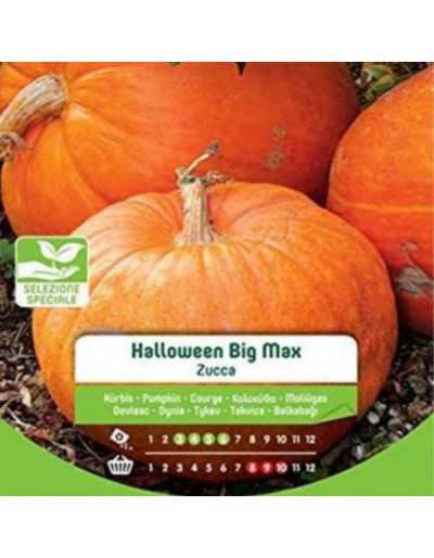 Big Max Halloweenowe Pestki...