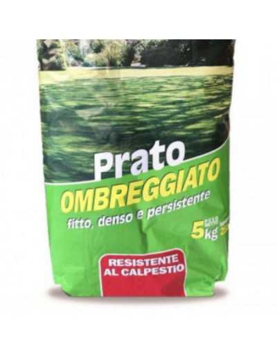 Strong Shaded Lawn Seeds 5 Kg