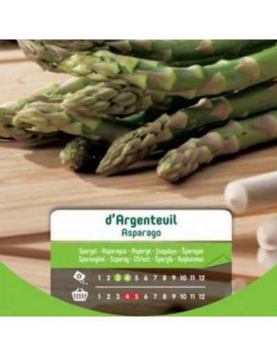 Sementes de Asparagus...