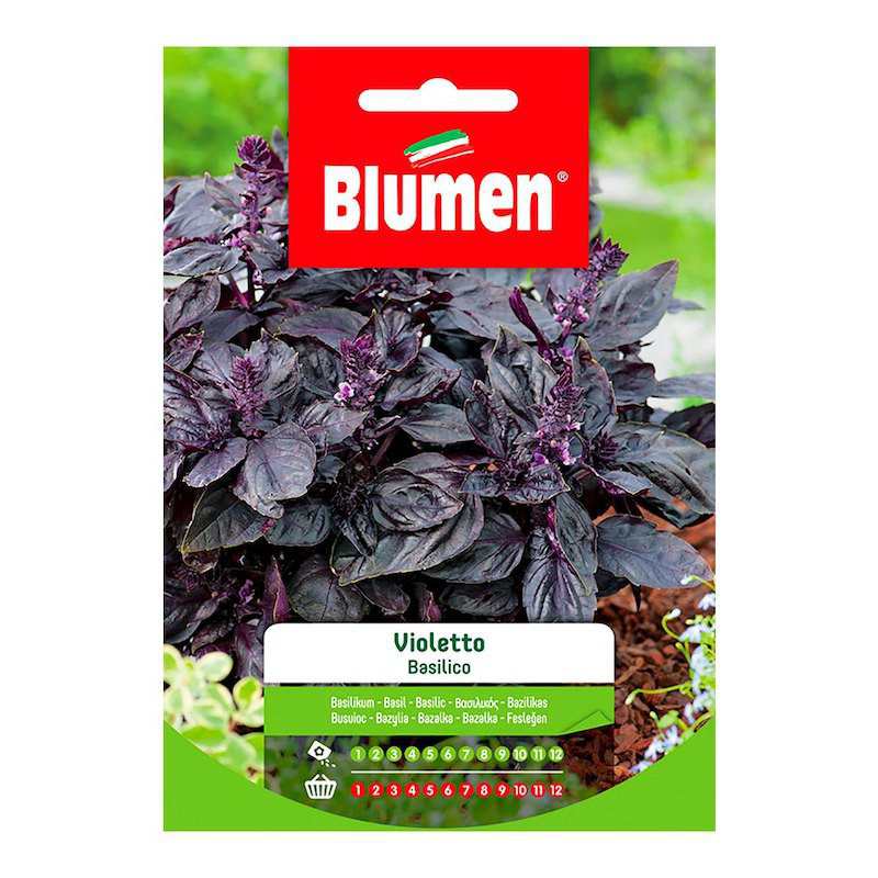 Semi di Basilico Violetto... Semi di Basilico Violetto...