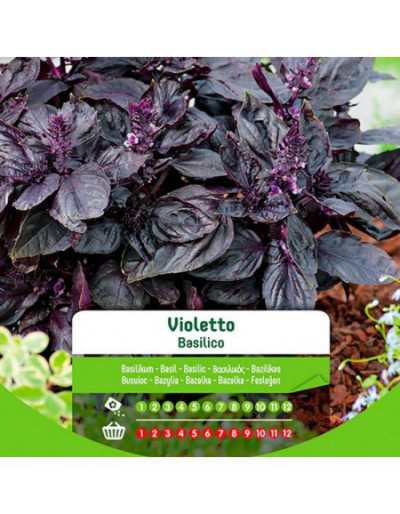 Violet Basil Seeds in Bag