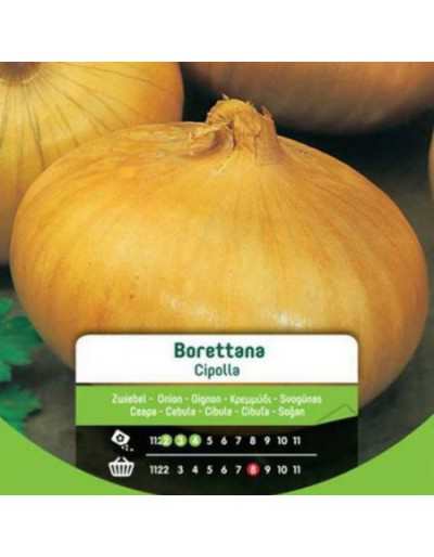 Borettana Onion Seeds in Bag