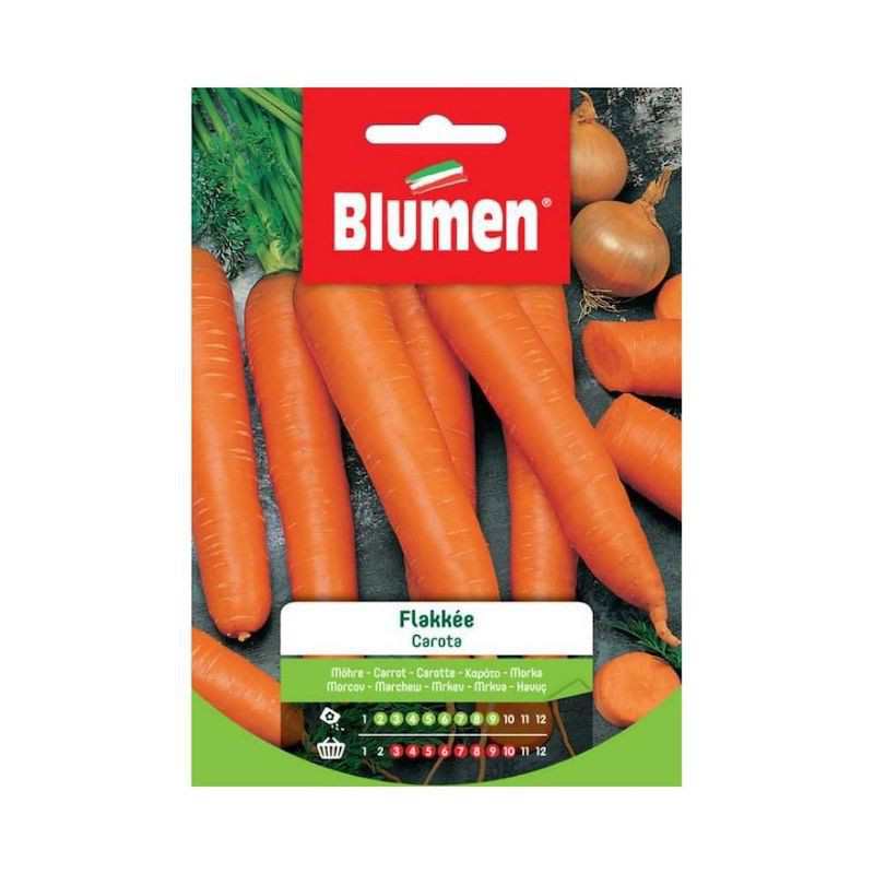 Flocken-Karotten-Samen im...