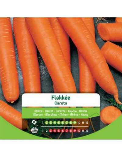 Sementes de cenoura Flakke...