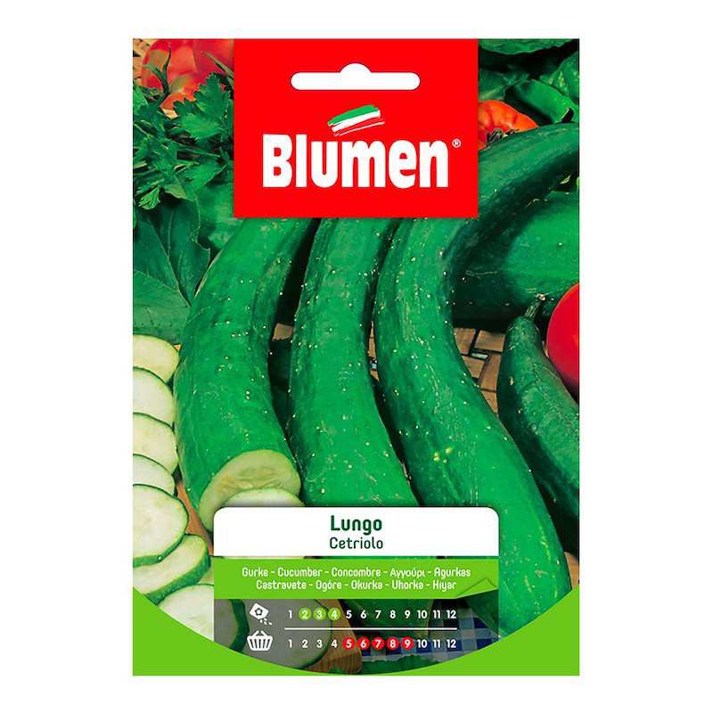 Long Cucumber Seeds in Bag