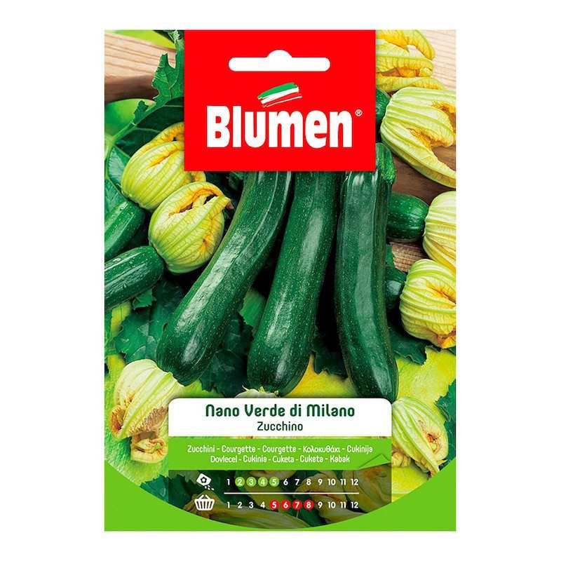 Milan Green Dwarf cukinia... Milan Green Dwarf cukinia...