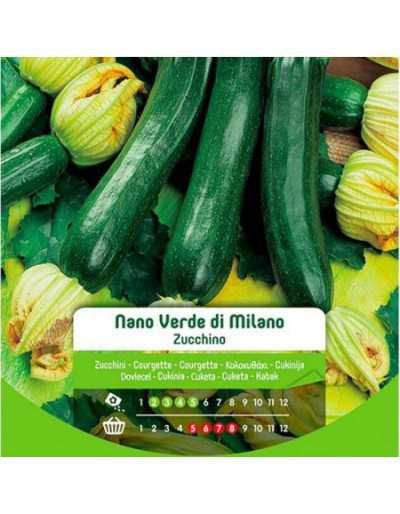 Milan Green Dwarf Zucchini...