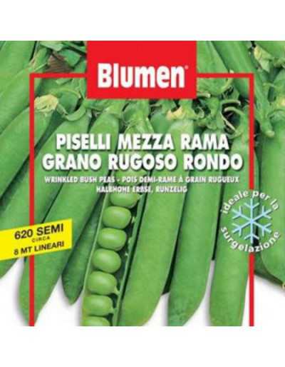 Pea Seeds Half Rama Rondo...