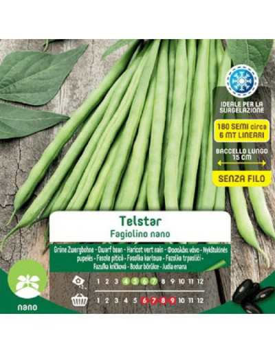 Telstar Dwarf Green Bean...