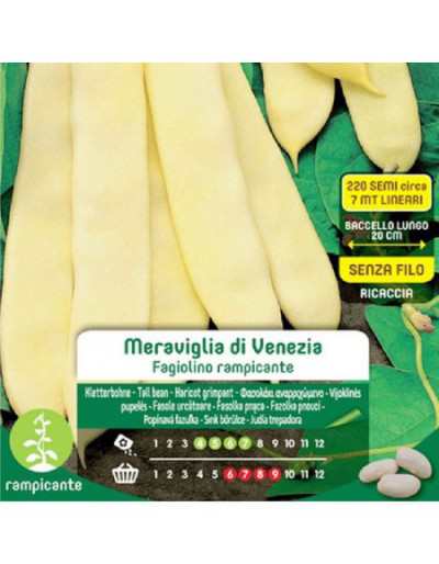 Wspinaczka Green Bean Seeds...