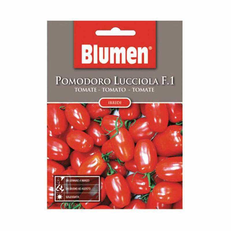 Nasiona pomidora Lucciola...