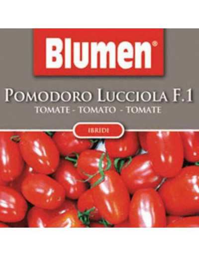 Nasiona pomidora Lucciola...