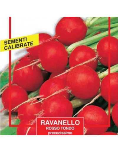 Semi Ravanello Tondo Rosso...