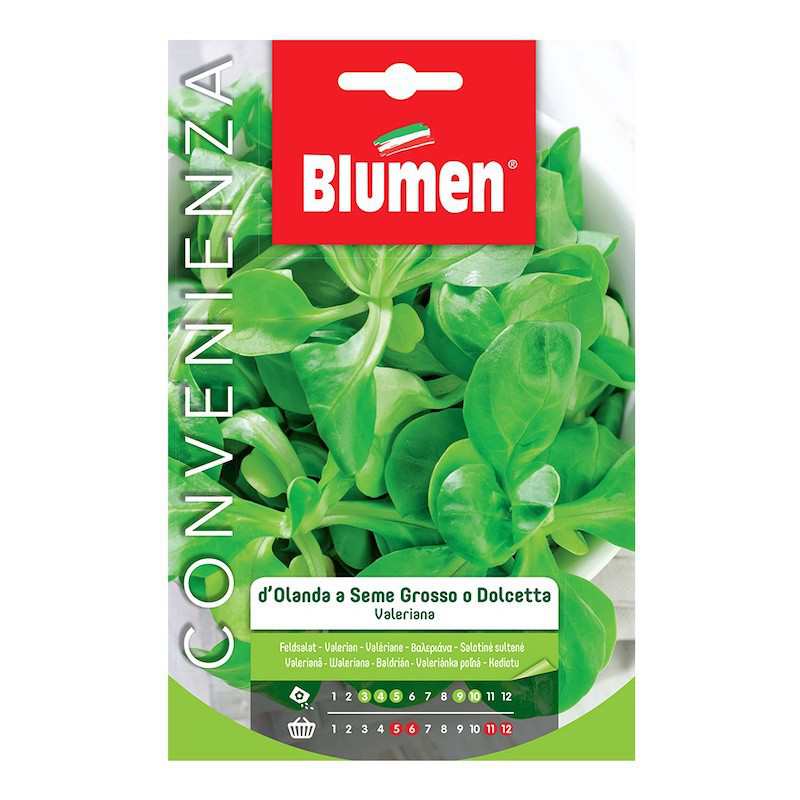 Sementes de Valeriana... Sementes de Valeriana...