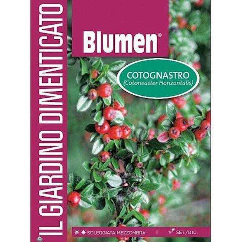 Semi di Cotognastro in Busta Semi di Cotognastro in Busta