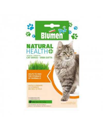 Grass Seeds - Cat