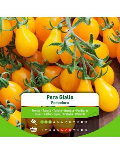 Sementes de tomate pêra...