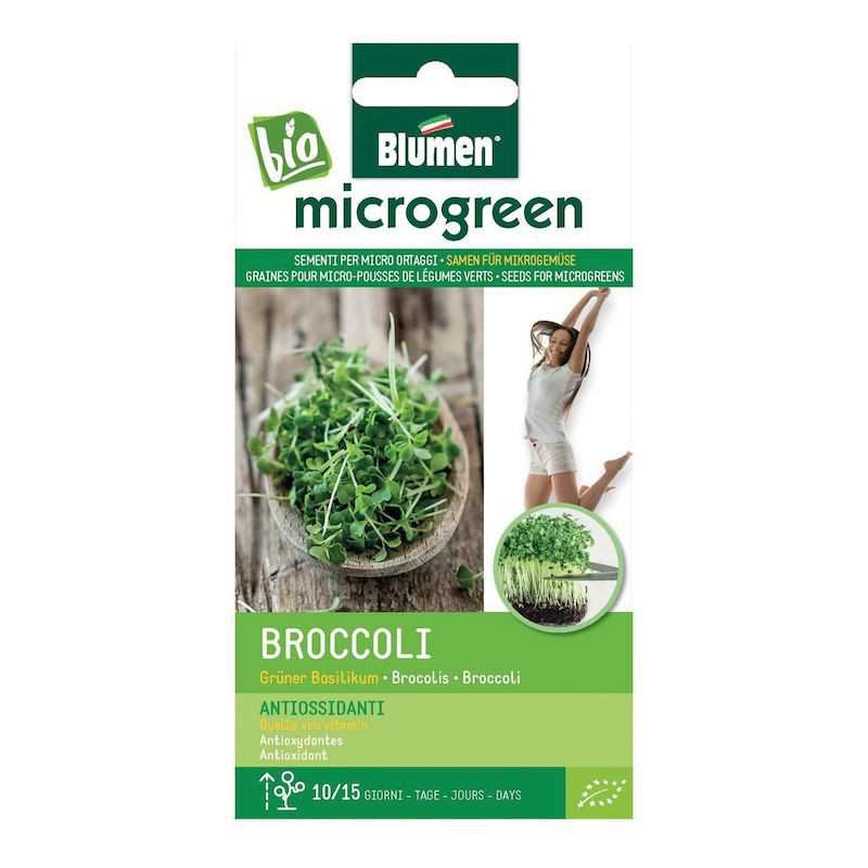 Frön till Broccoli...