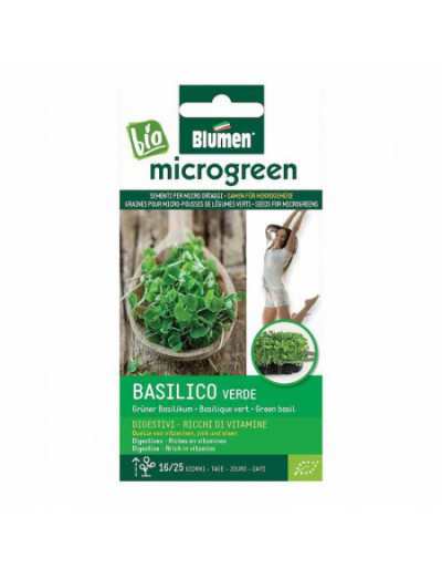 Zaden voor Groene Basilicum...