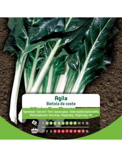 Chard Seeds from Coste Agila