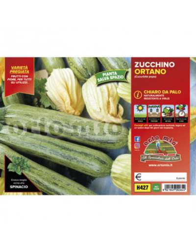 Six plantes de courgettes...