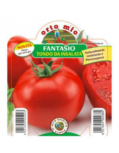 Piantina di Pomodoro Tondo...