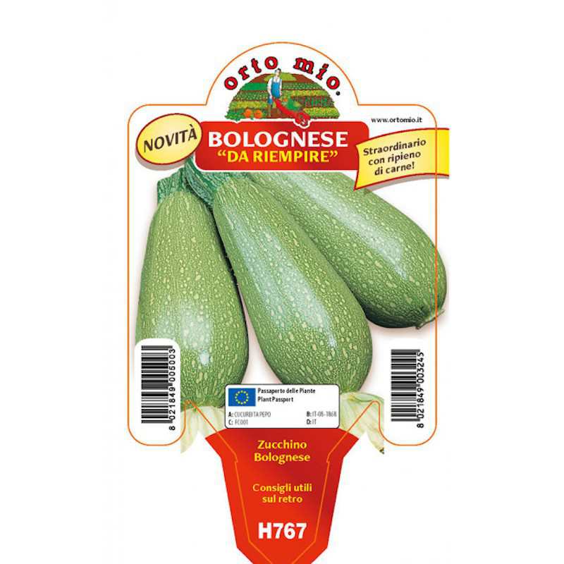 Zucchini Bolognese für...