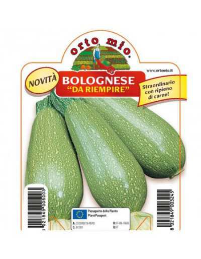 Courgette Bolognese om...