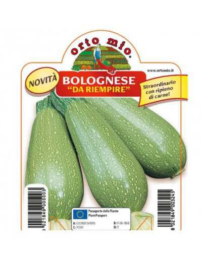 Pianta di Zucchino...