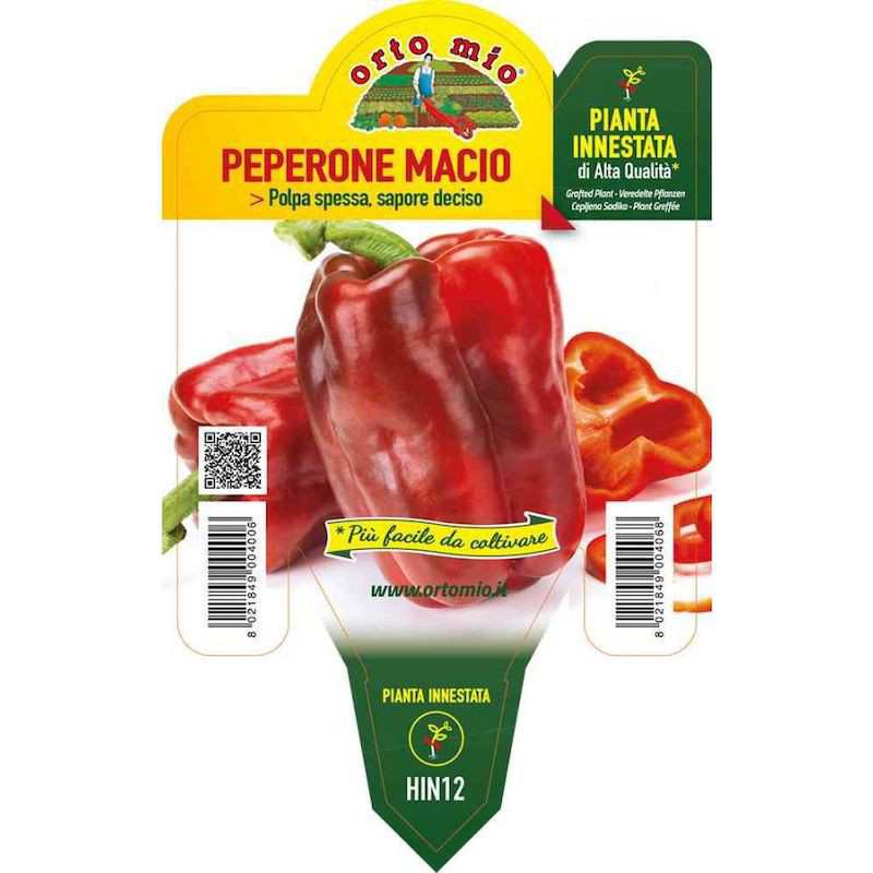 Red Macio Grafted Pepper...