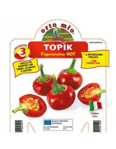 Topik F1 Anchovy Hot Round...