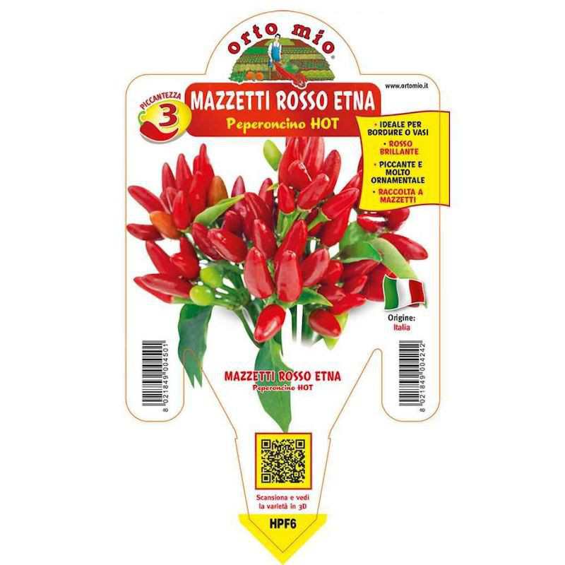 Pianta di Peperoncino Etna...