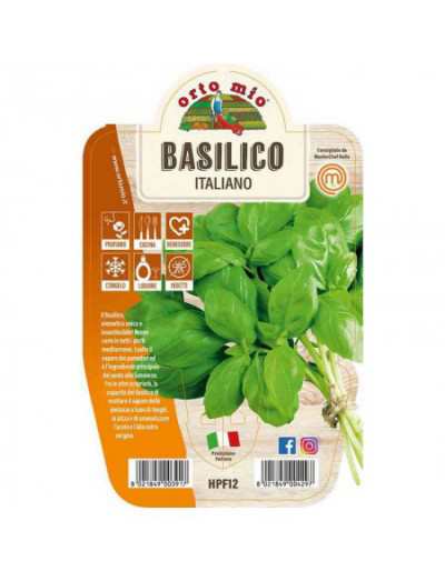 Pianta di Basilico Italiano...