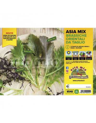 Asia Mix Brassiche Oosterse...