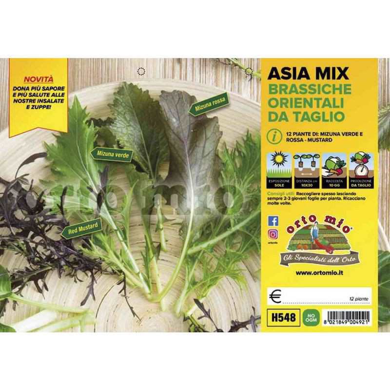 Asia Mix Brassiche Oriental...
