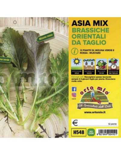 Piantine Asia Mix Brassiche...