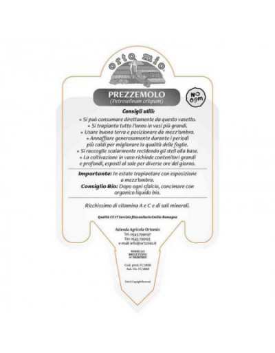 Parsley PIanta Gig Italia...