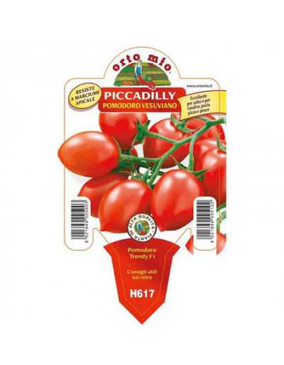 Tomate Vesuvian Piccadilly...