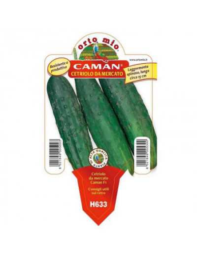 Gurkenpflanze-Caman-Markt...