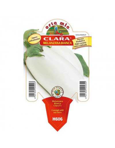 White Clara Eggplant Plant...