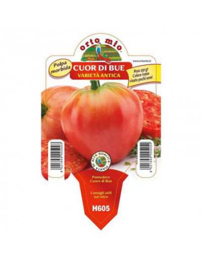 Classic Oxheart Tomato...