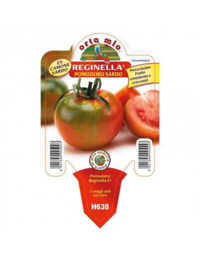 Sardinian Reginella Tomato...