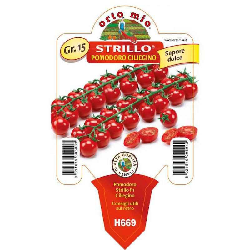 F1 Strillo Cherry Tomato...