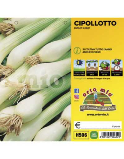 Piante di Cipolla Cipollotto