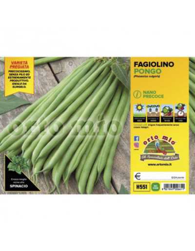 Pongo F1 Dwarf Green Bean...