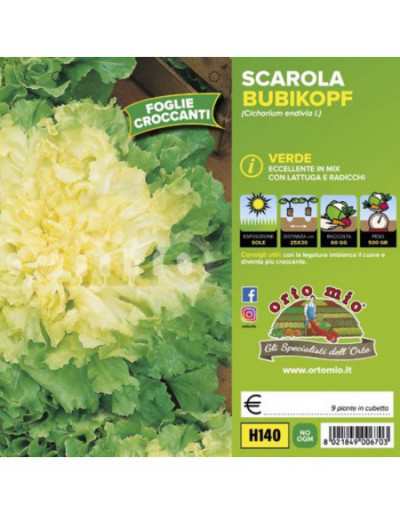 Endiveväxter Green Escarole...